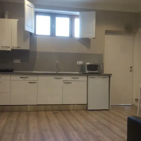 Apartment Fernao Magalhaes House *